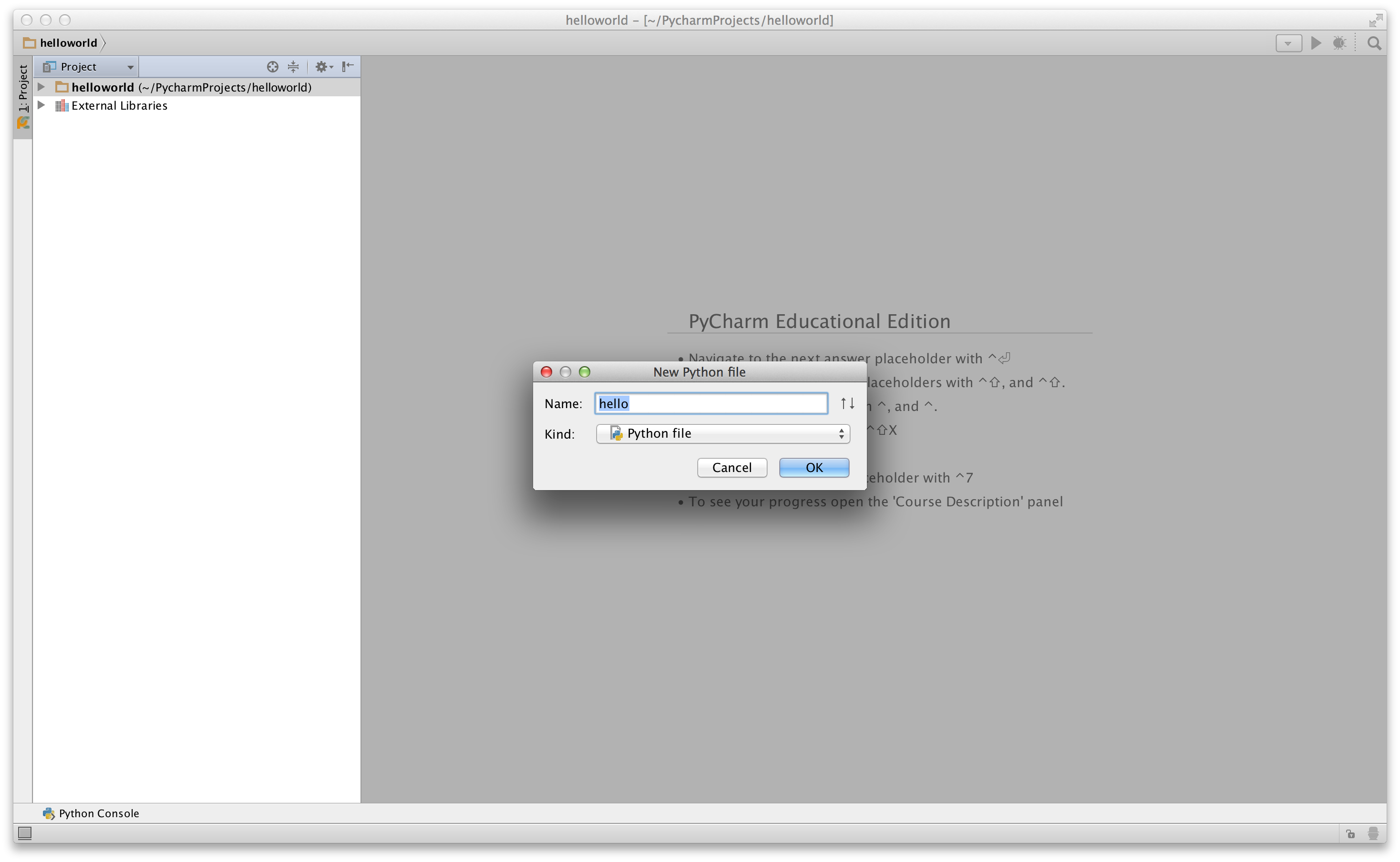 PyCharm New File dialog box
